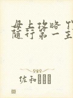 母上攻略 竹影随行第一主板