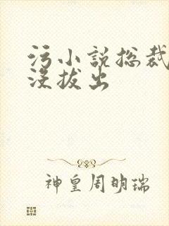 污小说总裁整夜没拔出