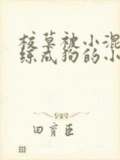 校草被小混混训练成狗的小说