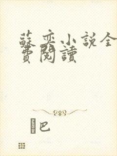 苏奕小说全文免费阅读