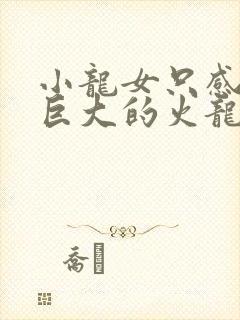 小龙女只感觉那巨大的火龙枪