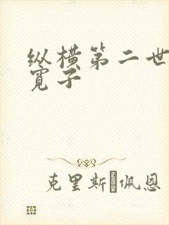 纵横第二世界 宽子