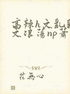 高辣h文乱乳h文浪荡np萧太后