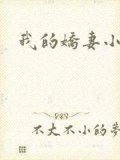 我的娇妻小说