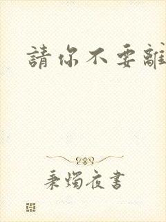 请你不要离开我