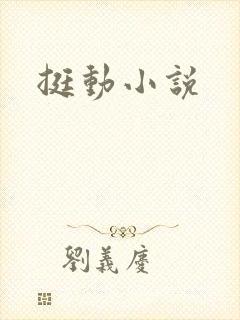 挺动小说