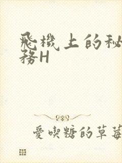 飞机上的秘密服务H