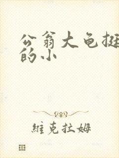 公翁大龟挺进我的小