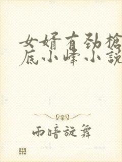 女婿有劲枪枪到底小峰小说