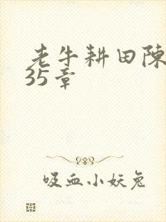 老牛耕田陈雪435章