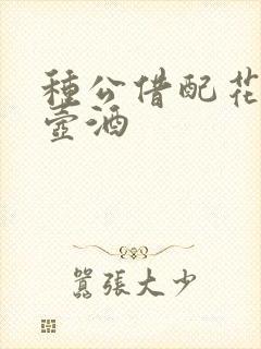 种公借配花间一壶酒