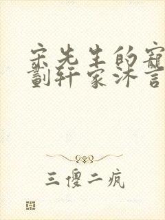 宋先生的宠妻计划轩家沐言