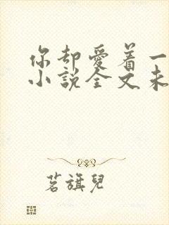 你却爱着一个他小说全文未删减免费