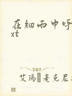 在细雨中呼喊txt