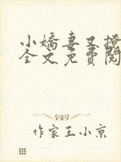 小娇妻又撩又甜全文免费阅读