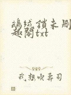 鹅绒锁未删除笔趣阁txt