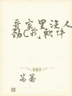 哥家里没人使点劲C我软件