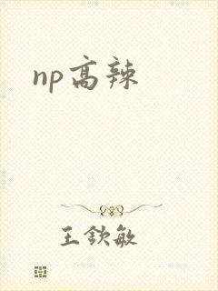 np高辣