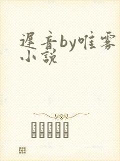 迟音by唯雾的小说