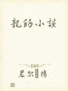 龙的小说