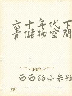 六十年代下乡知青储物空间