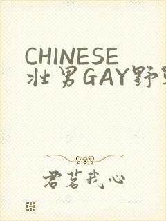 CHINESE壮男GAY野战强迫TUBE