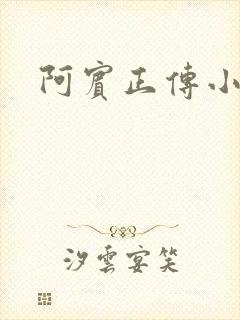 阿宾正传小说