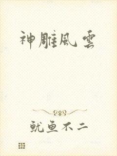 神雕风云