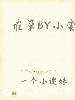 催孕BY小蛮腰