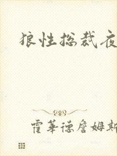 狼性总裁夜欢宠