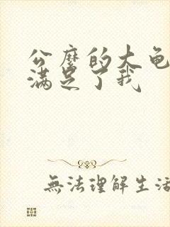 公么的大龟强大满足了我