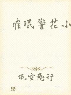 催眠警花小说