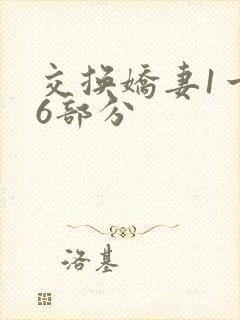 交换娇妻1一36部分