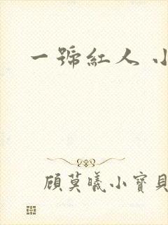 一号红人 小说