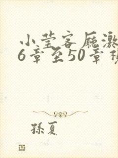 小莹客厅激情46章至50章视