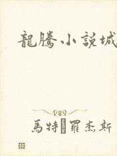龙腾小说城