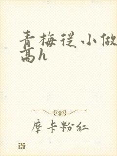 青梅从小做到大高h