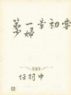 第一章初尝极品少妇
