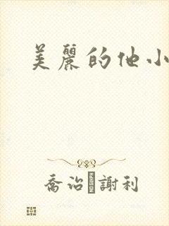 美丽的他小说