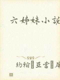 六姊妹小说