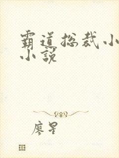 霸道总裁小娇妻小说