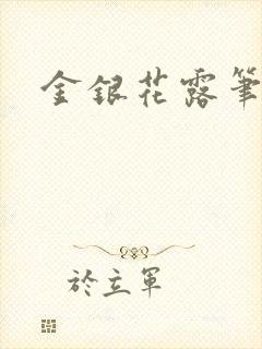 金银花露笔趣阁