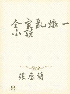 全家乱炖一锅烩小说