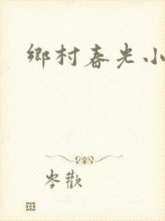 乡村春光小说