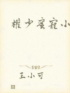 权少蜜宠小娇妻