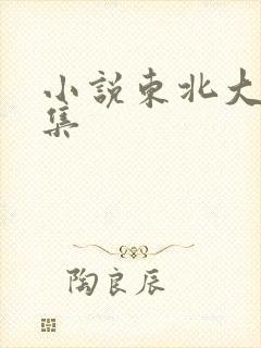 小说东北大炕全集