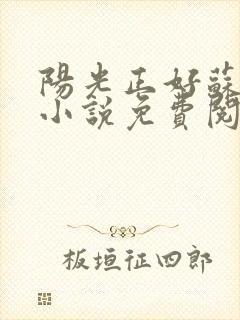 阳光正好苏玥玥小说免费阅读无弹窗