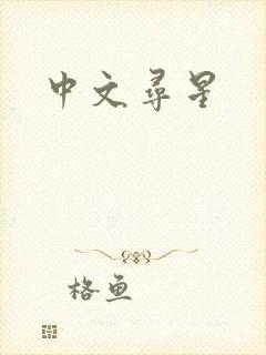 中文寻星