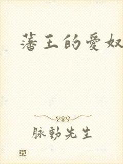 藩王的爱奴