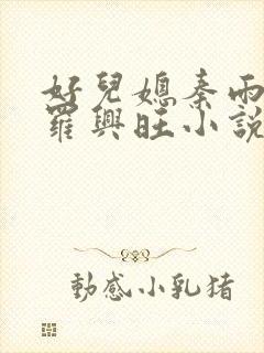 好儿媳秦雨罗明罗兴旺小说